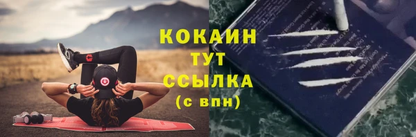 PSILOCYBIN Осинники