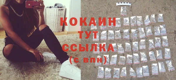 PSILOCYBIN Осинники