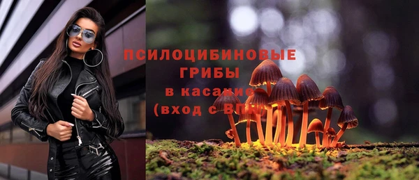 PSILOCYBIN Осинники