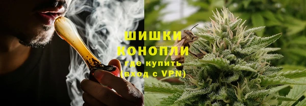 PSILOCYBIN Осинники